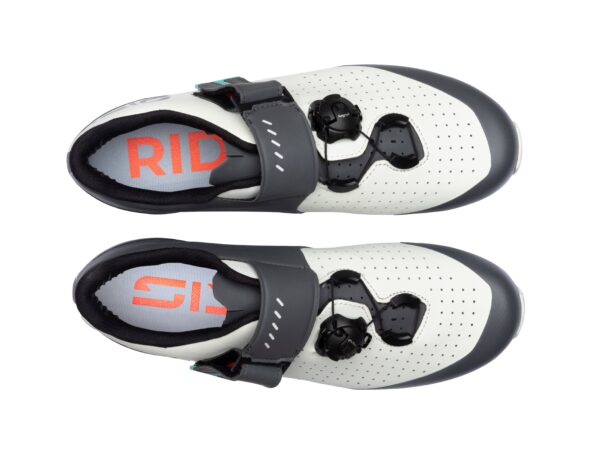 Sidi Physis Sidi Physis