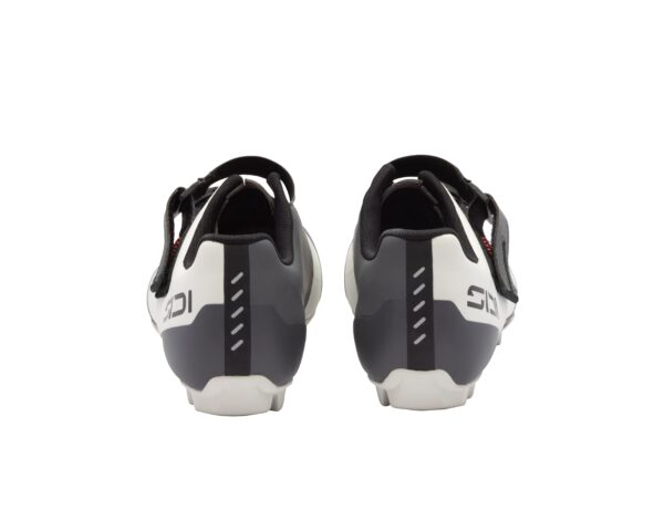Sidi Physis Sidi Physis