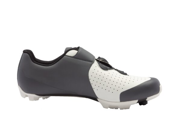 Sidi Physis Sidi Physis